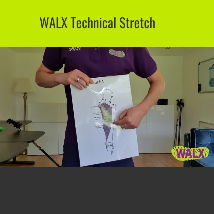 Virtual WALX went live