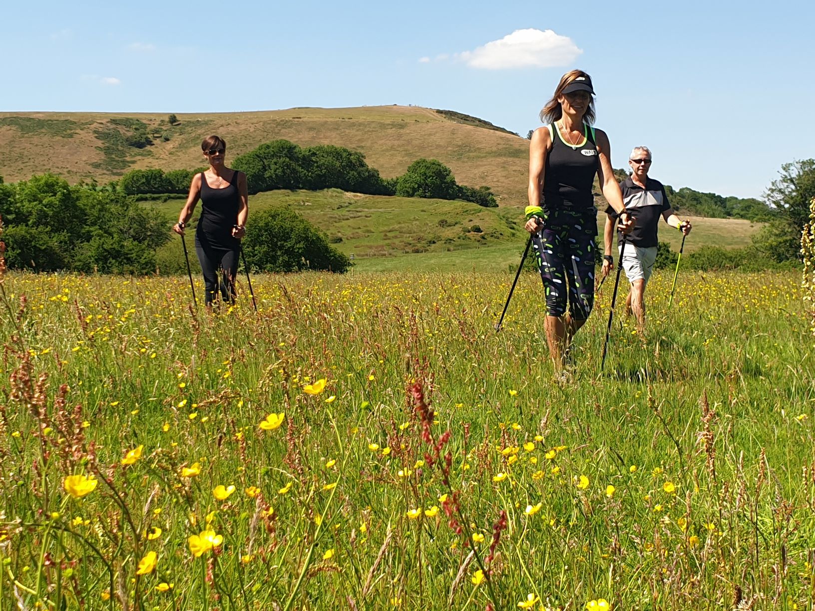 Nordic walking with WALX